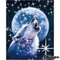 Wolfi
